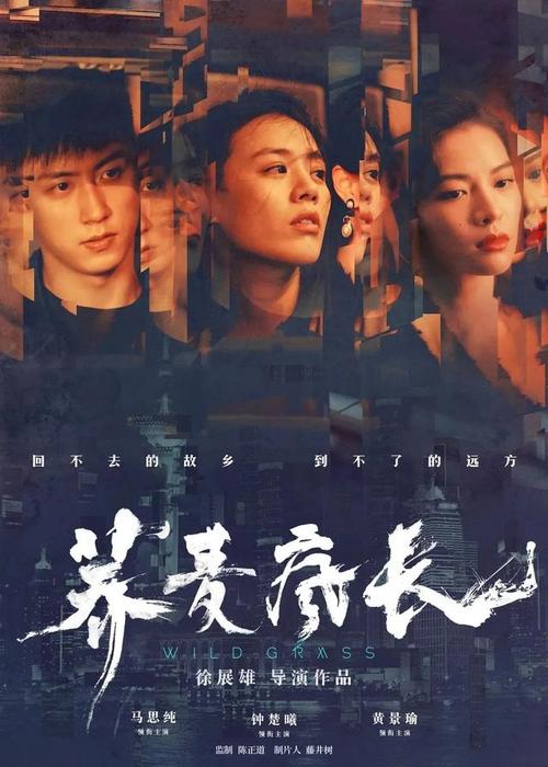 圣玛莉大学diploma购买